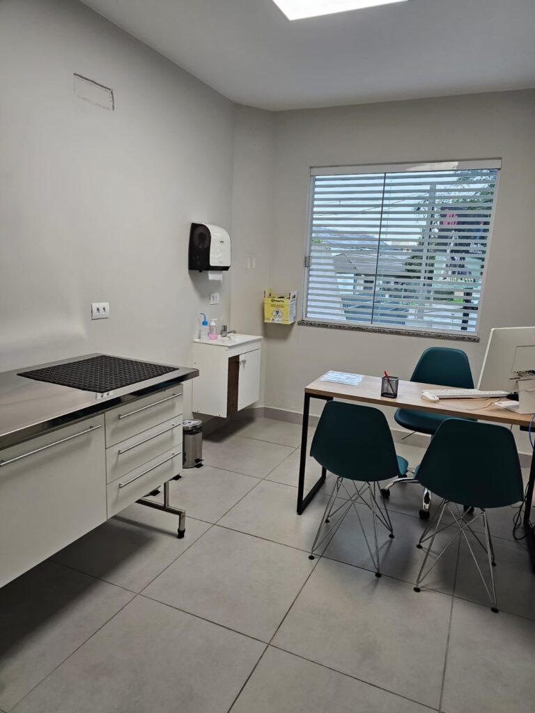 Check-up anual: o que é avaliado e por que fazer mesmo com o pet saudável