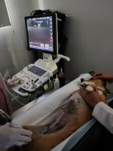 WhatsApp Image 2023-10-07 at 09.50.25 5