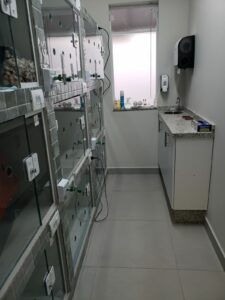 Internação Exclusiva Gatos