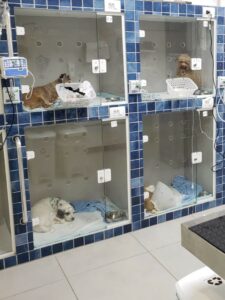 WhatsApp Image 2023-10-07 at 09.53.59 (1)